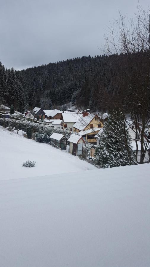 Monteurwohnung Aroba Fehrenbach Dış mekan fotoğraf