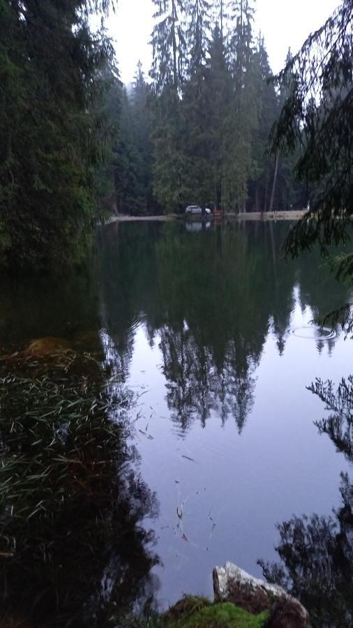Monteurwohnung Aroba Fehrenbach Dış mekan fotoğraf