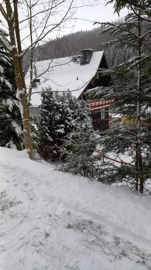 Monteurwohnung Aroba Fehrenbach Dış mekan fotoğraf