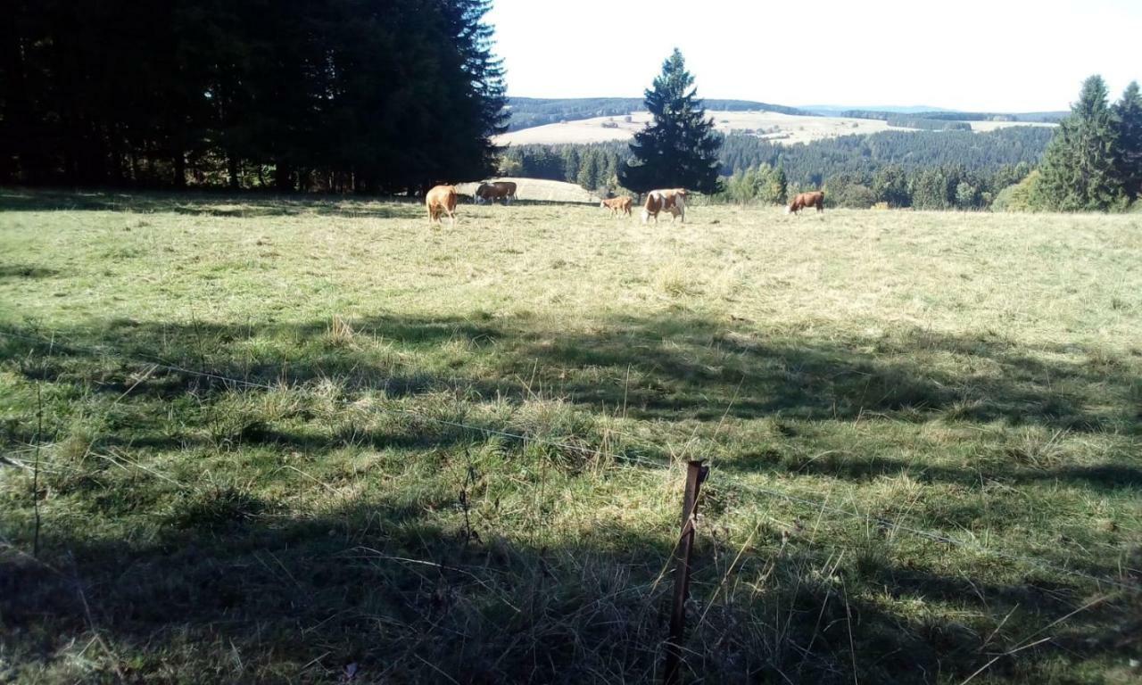 Monteurwohnung Aroba Fehrenbach Dış mekan fotoğraf