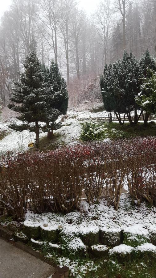 Monteurwohnung Aroba Fehrenbach Dış mekan fotoğraf